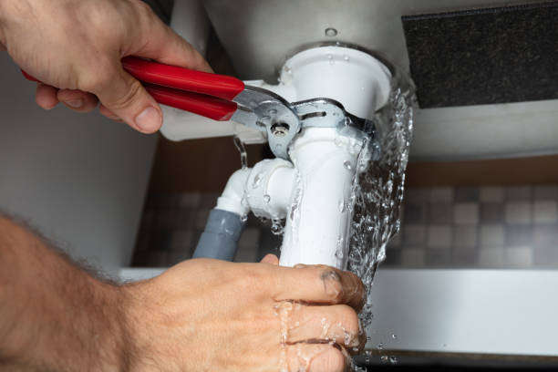 Best Flood damage cleanup  in Waikapu, HI