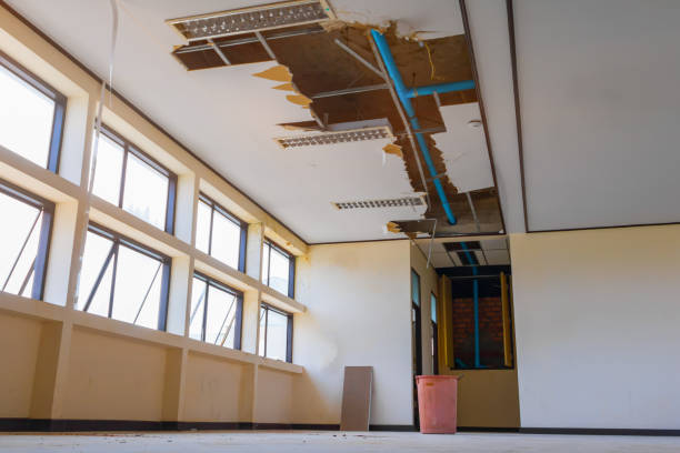 Best Carpet water damage restoration  in Waikapu, HI