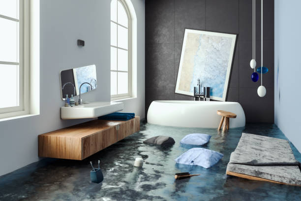 Best Mold removal after water damage  in Waikapu, HI