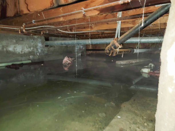 Best Residential water damage restoration  in Waikapu, HI