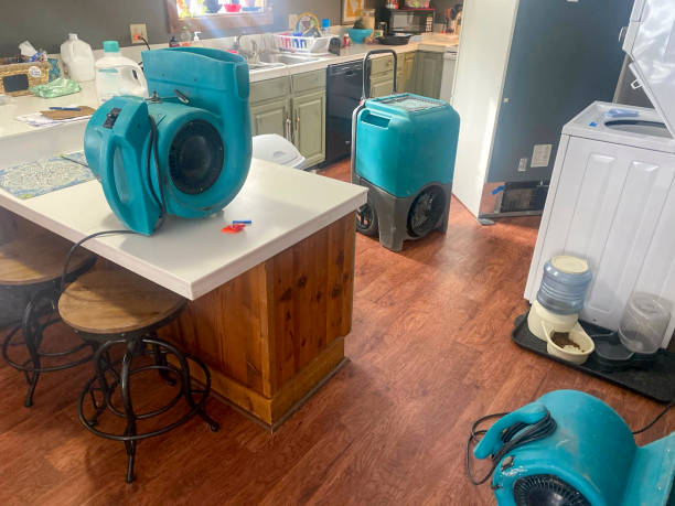Best Local water damage restoration  in Waikapu, HI
