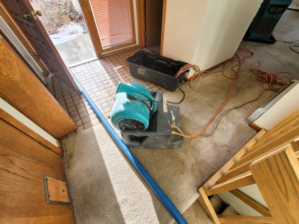 Best Fire Damage Restoration  in Waikapu, HI