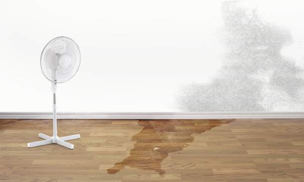 Best Flood restoration services  in Waikapu, HI
