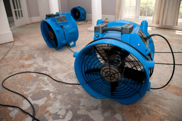 Water damage restoration mold remediation in Waikapu, HI