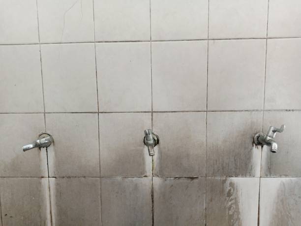 Best Flooded house restoration  in Waikapu, HI