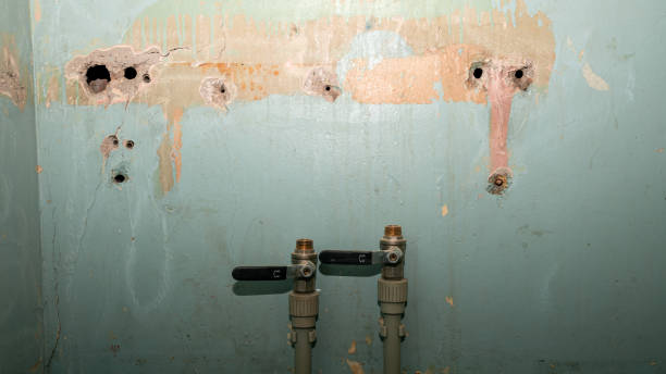 Best Emergency water extraction  in Waikapu, HI