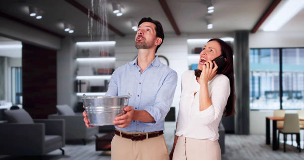 Best Basement water damage restoration  in Waikapu, HI