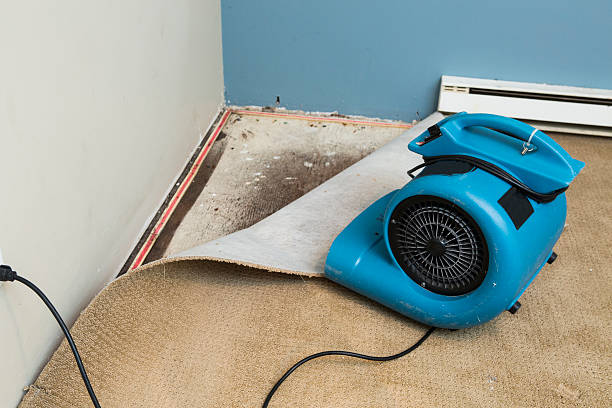 24/7 water damage repair in Waikapu, HI